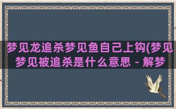 梦见龙追杀梦见鱼自己上钩(梦见梦见被追杀是什么意思 - 解梦百科)